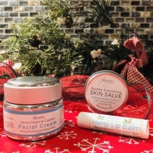 Noetic Holiday Skin Care Kit